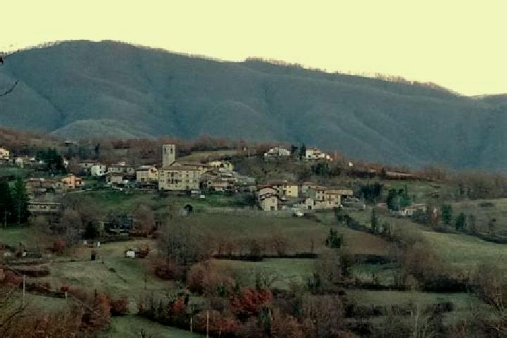Willow, 23 — Escort in Piazza al Serchio-San Michele, Italy