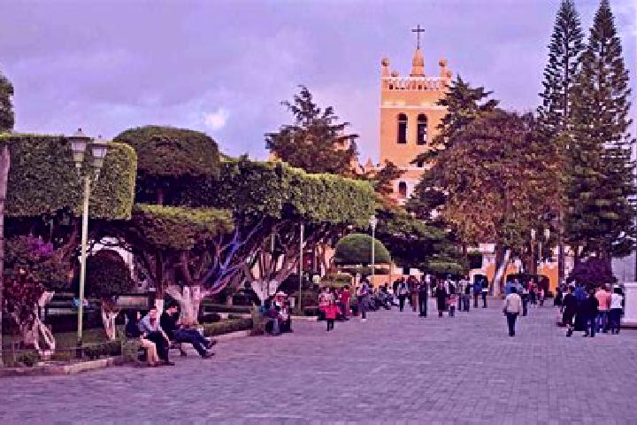 Willow, 24 — Escort in Comitan, Mexico
