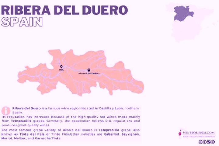 Willow, 24 — Escort in Cozuelos de Fuentiduena, Spain