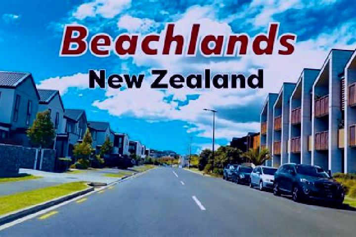 Willow, 25 — Escort in Beachlands, New Zealand