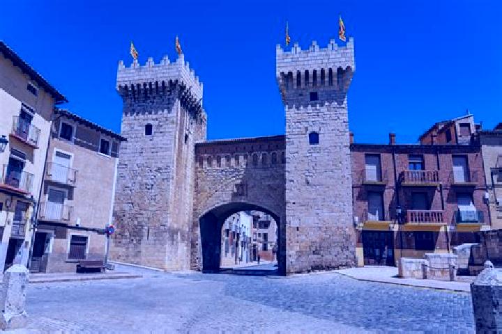 Willow, 25 — Escort in Daroca, Spain