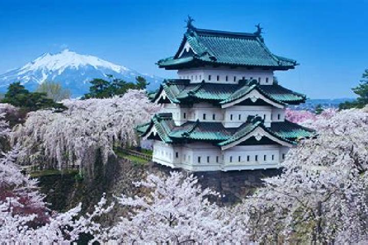 Willow, 25 — Escort in Hirosaki, Japan