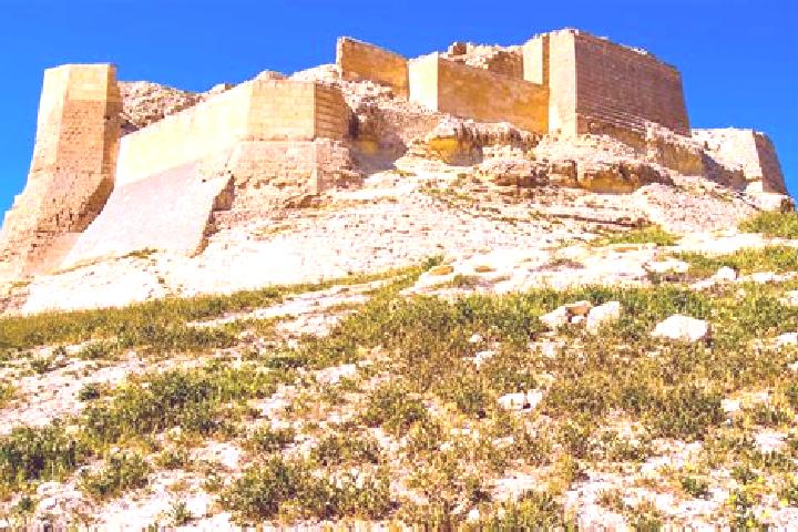Willow, 25 — Escort in Masyaf, Syria