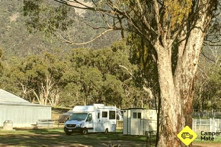 Willow, 25 — Escort in Melrose, New Zealand