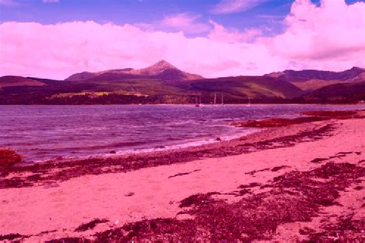Willow, 26 — Escort in Isle of Arran, United Kingdom