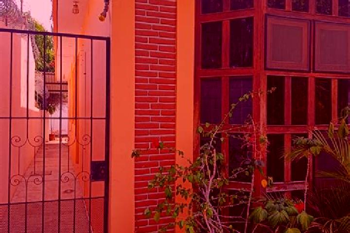 Willow, 26 — Escort in San Pedro Mixtepec Distrito Veintidos, Mexico