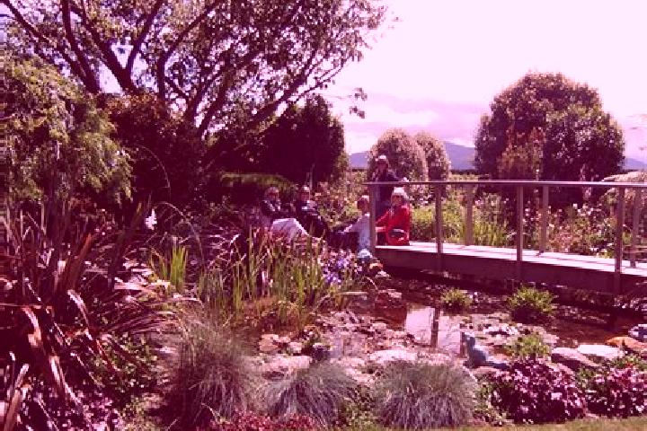 Willow, 26 — Escort in Woodend, New Zealand