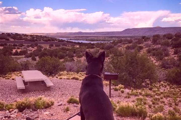 Willow, 27 — Escort in Cochiti Lake, United States