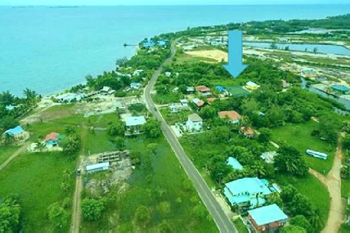 Willow, 27 — Escort in Trio Village, Belize