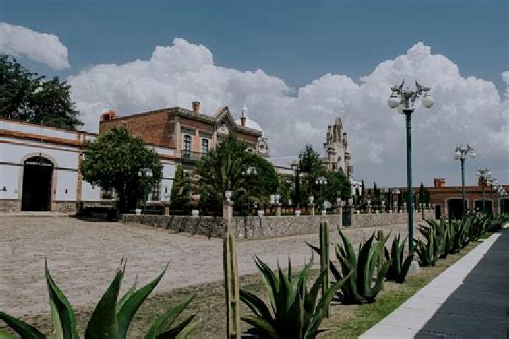 Willow, 28 — Escort in San Pedro Huaquilpan, Mexico