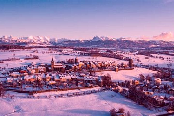 Willow, 28 — Escort in Sorens, Switzerland