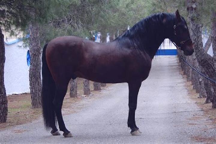 Willow, 29 — Escort in Caballar, Spain