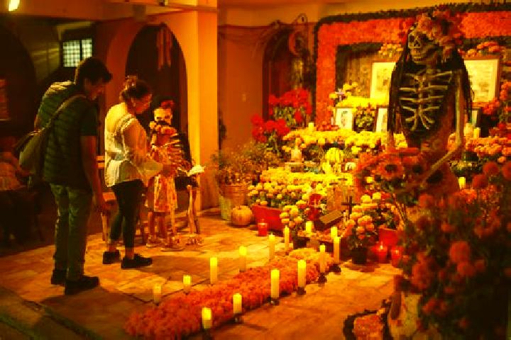 Willow, 29 — Escort in Plan de los Muertos, Mexico