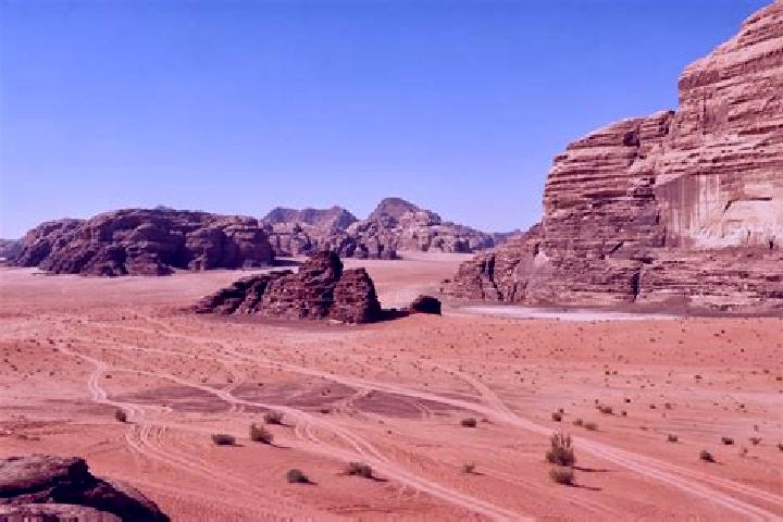 Willow, 29 — Escort in Wadi, China