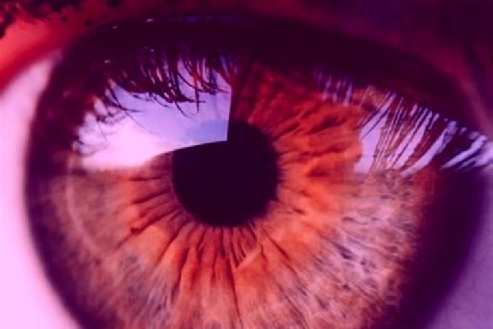 Willow, 30, a chestnut hazel-eyed middle eastern companion based in Todaraisingh. Offering Domination, Overnight, OWO, A-Level, Prostate Massage. Available f...