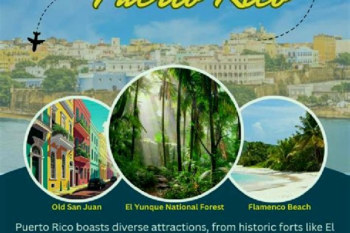 Willow, 30 — Escort in Benitez, Puerto Rico