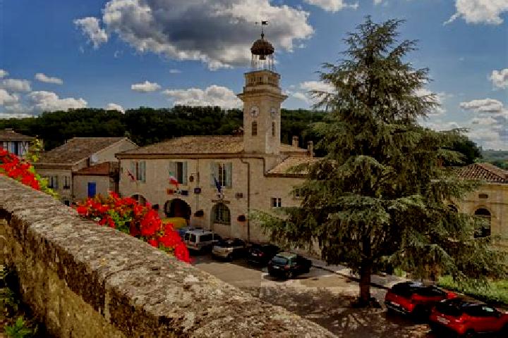Willow, 30 — Escort in Montpezat-de-Quercy, France