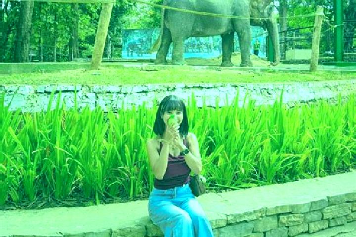 Willow, 30 — Escort in Sane, Myanmar
