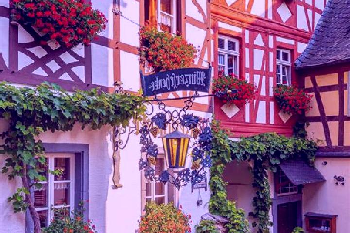 Willow, 32 — Escort in Budlich, Germany
