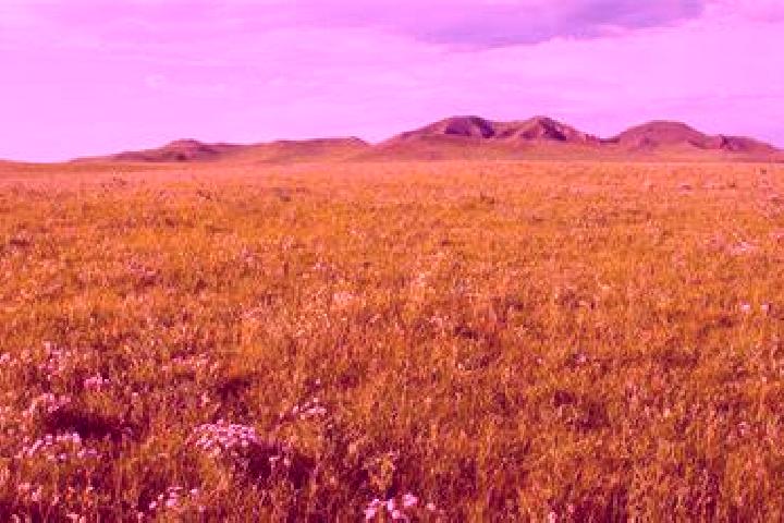 Willow, 32 — Escort in Selenge, Mongolia