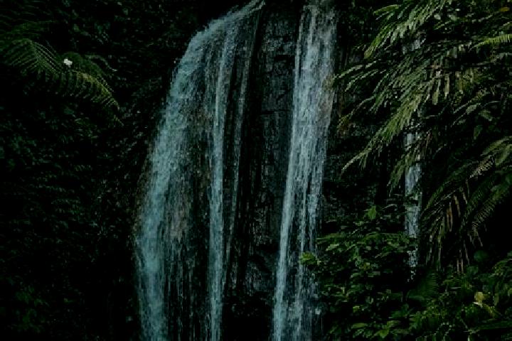 Willow, 33 — Escort in Curugkembar Satu, Indonesia