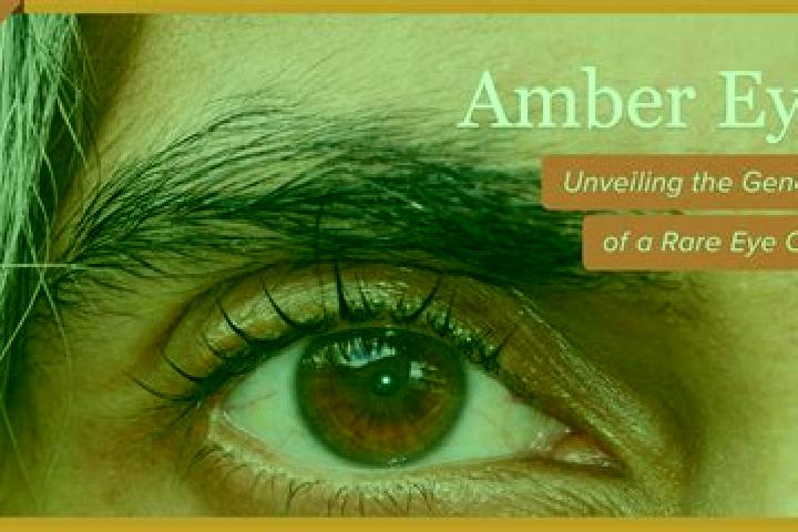 Willow, 34, a black amber-eyed middle eastern companion based in Acquavena. Offering Overnight, OWO, Fetish, Tantra, Girlfriend Experience. Available for inc...