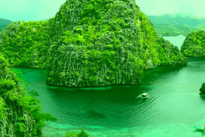 Willow, 35 — Escort in Guadalupe, Philippines