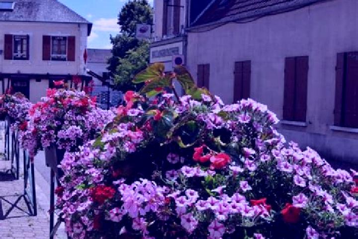 Willow, 35 — Escort in Les Essarts, France