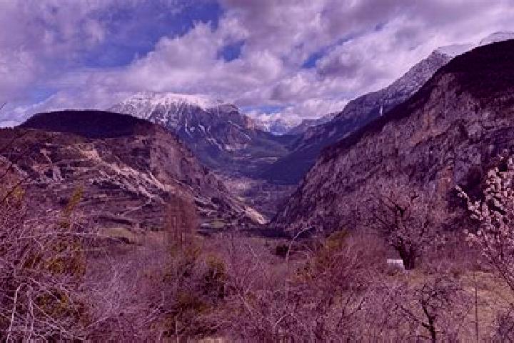 Willow, 35 — Escort in Valle de Abdalagis, Spain
