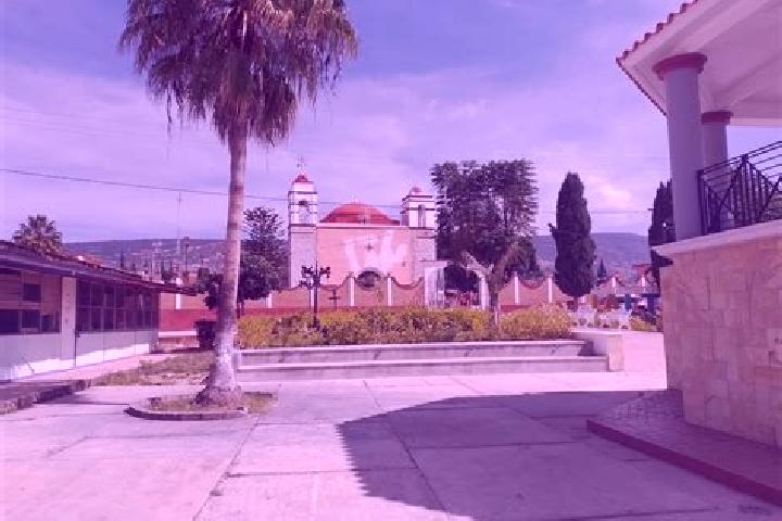 Willow, 36 — Escort in San Pedro Jaltepetongo, Mexico