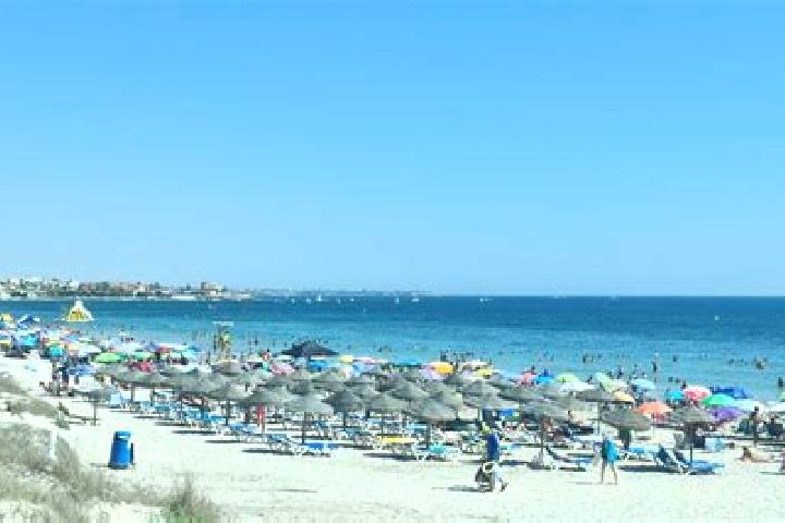 Willow, 36 — Escort in Torre de la Horadada, Spain