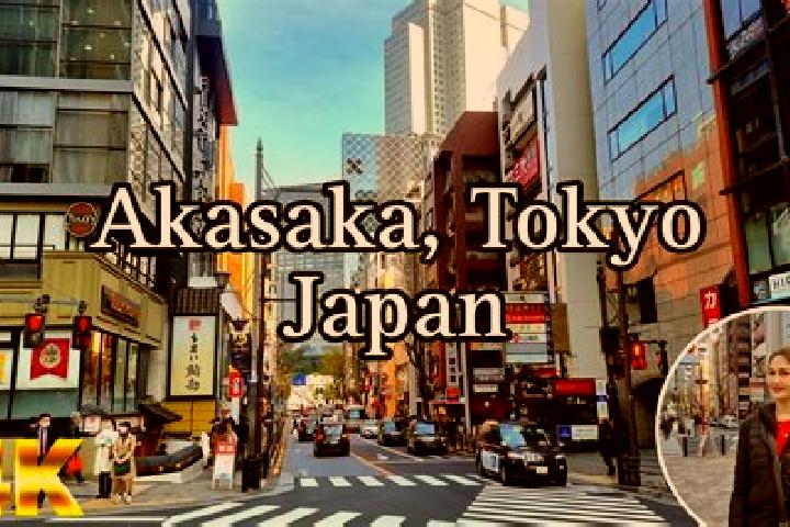 Willow, 37 — Escort in Akasaka, Japan