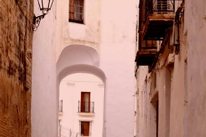 Willow, 37 — Escort in Arcos de las Salinas, Spain