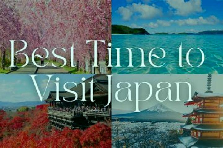 Willow, 37 — Escort in Kamikatagiri, Japan