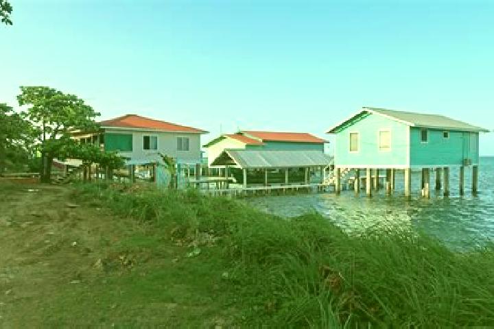 Willow, 37 — Escort in Mangrove Bight, Honduras