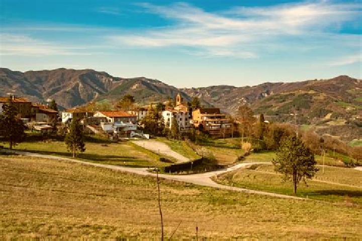Willow, 37 — Escort in Sovizzo, Italy