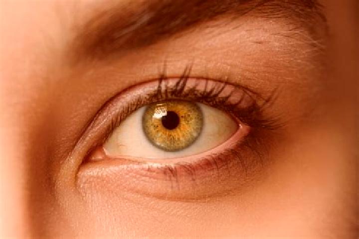 Willow, 38, a chestnut hazel-eyed mixed companion based in Canadas de Nanchititla. Offering OWO, 69, CIM, Travel Companion. Available for incall and outcall,...
