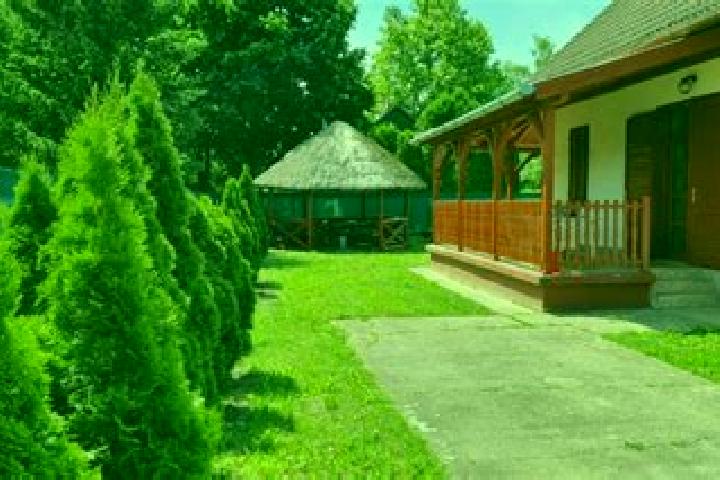 Willow, 39 — Escort in Abadszalok, Hungary