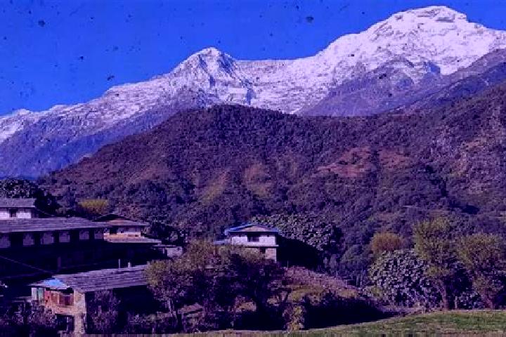 Willow, 39 — Escort in Bhattarai Danda, Nepal