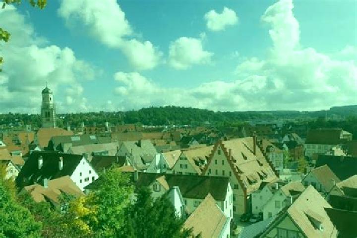 Willow, 39 — Escort in Biberach an der Riss, Germany