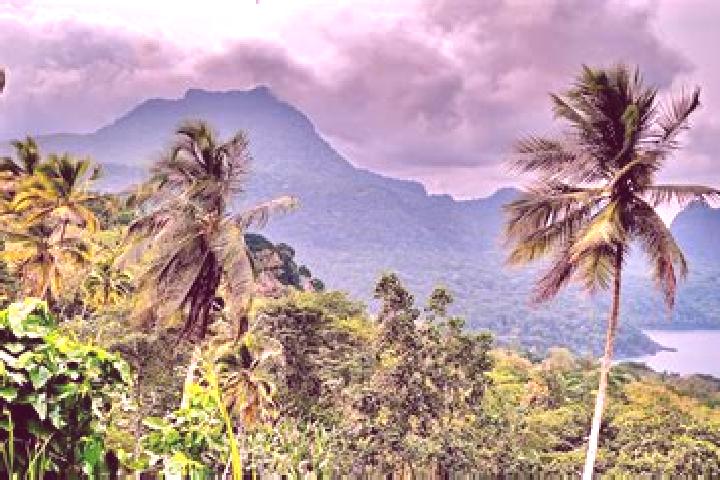 Willow, 39 — Escort in Pantufo, Sao Tome and Principe