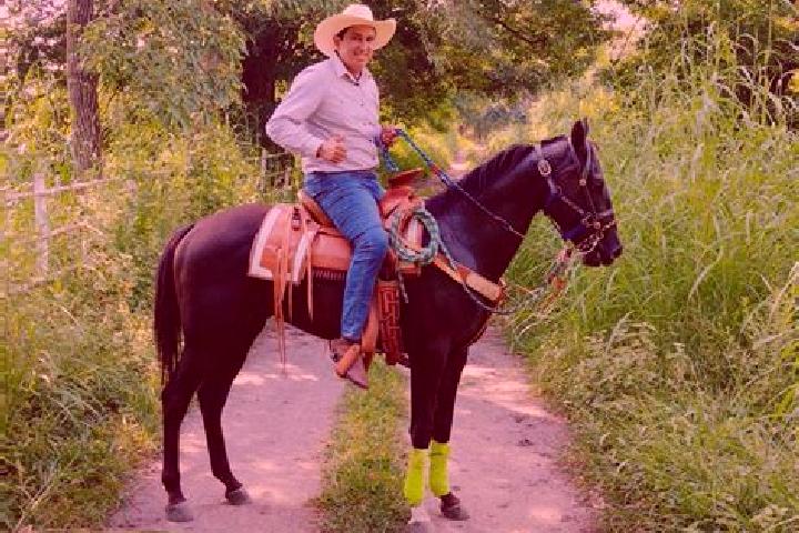 Willow, 39 — Escort in Tolome, Mexico