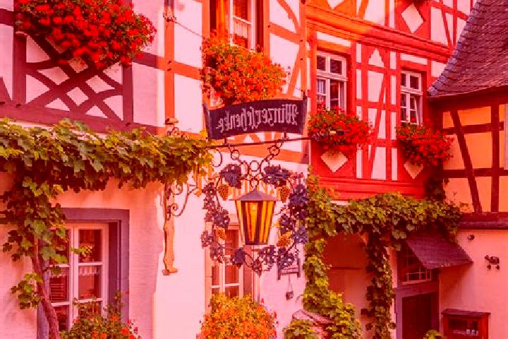 Willow, 39 — Escort in Wolpinghausen, Germany