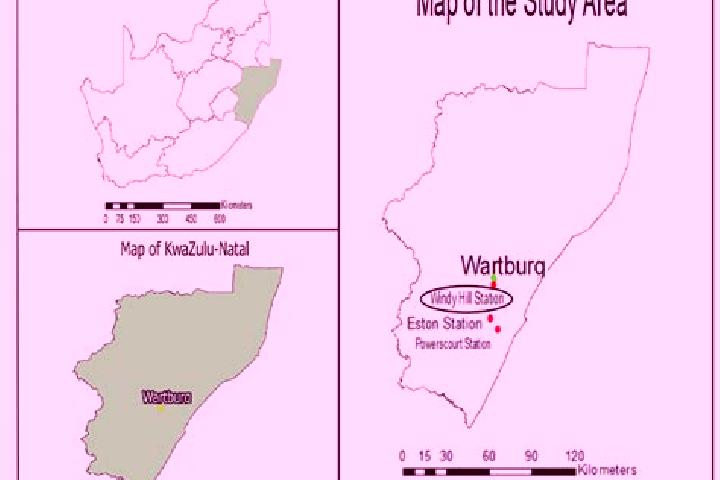 Zoe, 20 — Escort in Wartburg, South Africa