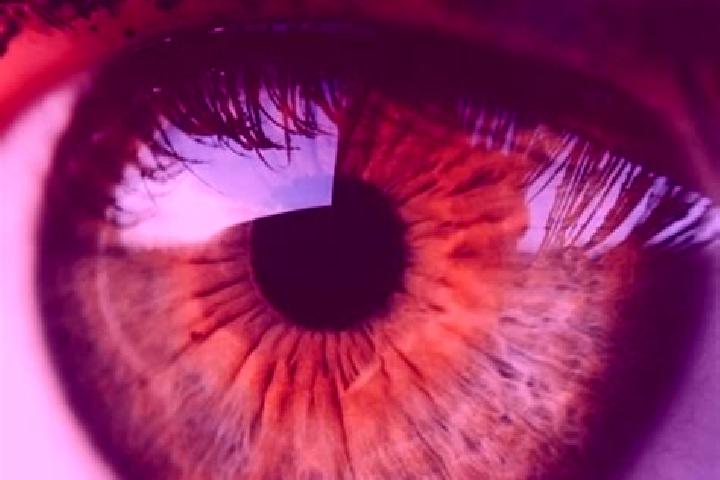Zoe, 21, a red hazel-eyed middle eastern companion based in Canales de la Sierra. Offering A-Level, Erotic Massage, OWO, Domination. Available for incall and...