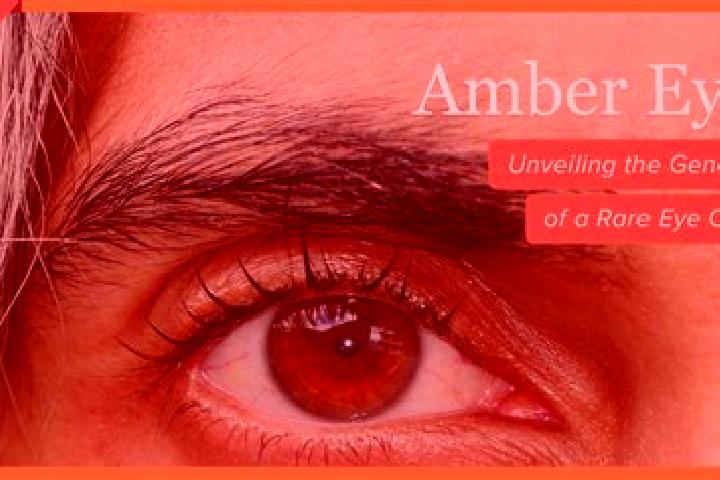 Zoe, 22, a red amber-eyed mediterranean companion based in Wietzen. Offering Girlfriend Experience, Roleplay, Erotic Massage, Tantra. Available for incall an...