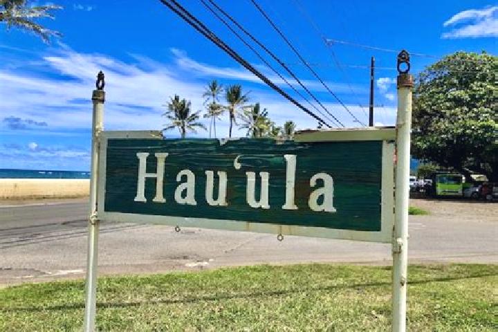 Zoe, 22 — Escort in Hau ula-Punalu u, United States