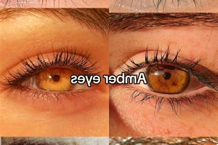 Zoe, 24, a brunette amber-eyed caucasian companion based in Boyali. Offering Erotic Massage, OWO, Overnight, Prostate Massage, BDSM. Available for incall and...