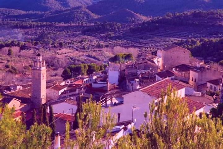 Zoe, 25 — Escort in La Torre de les Macanes, Spain