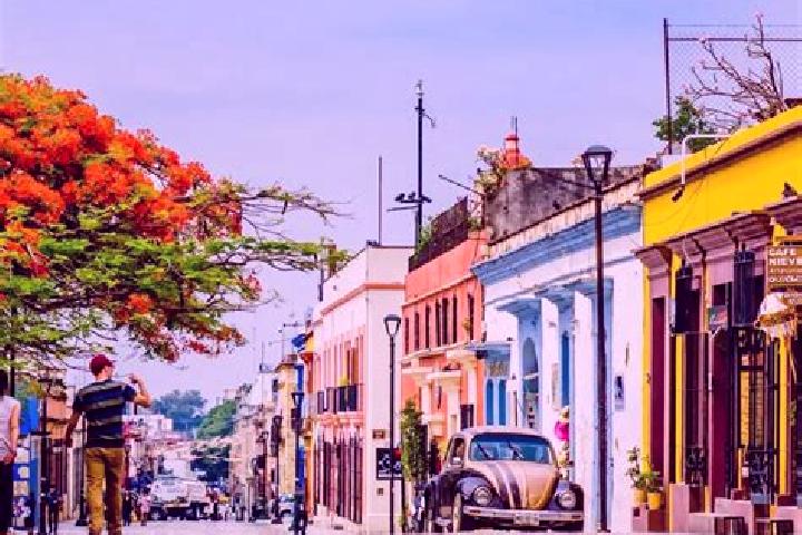 Zoe, 25 — Escort in Villa de Juarez, Mexico
